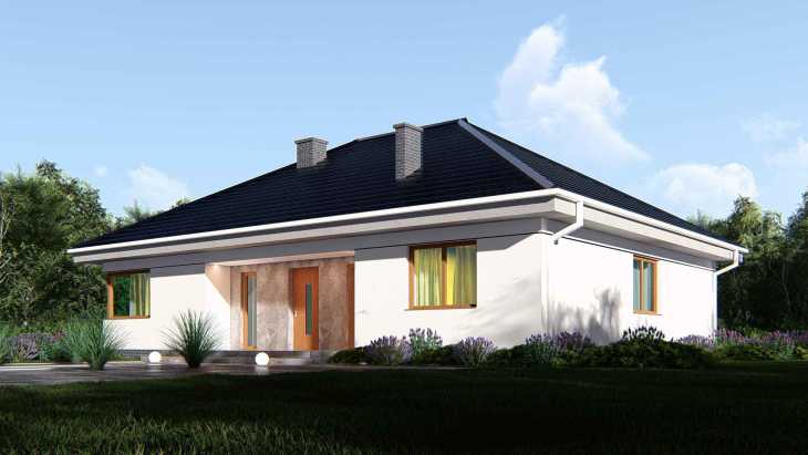 Miniatura zdjęcia projektu uA481v1