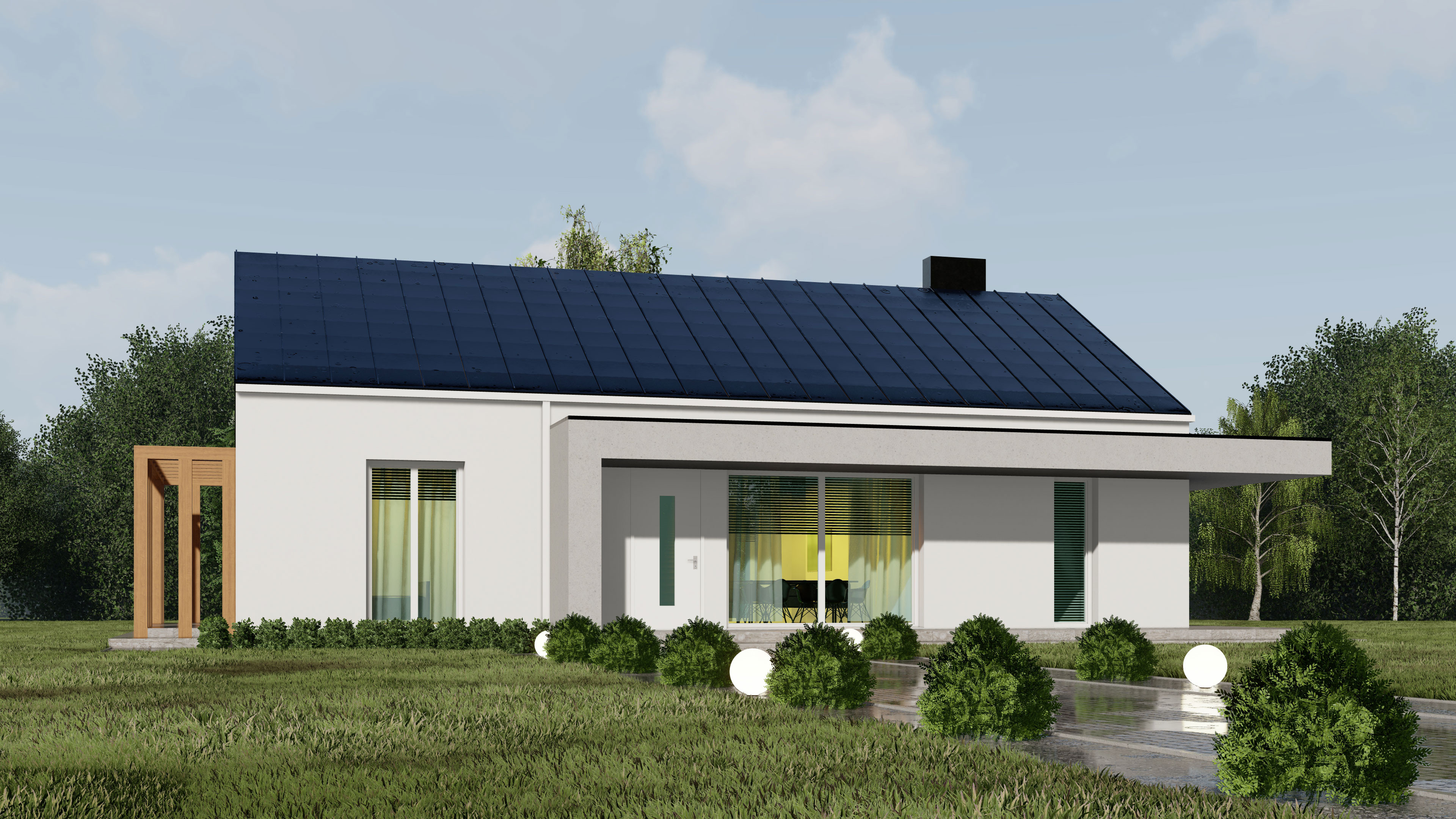 Zdjęcie główne projektu - uA267v1